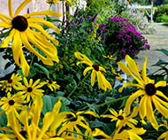 Birds Butterflies and Blooms_190x158