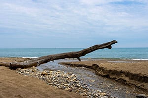 CC From Ripples to Waves