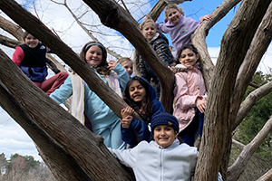 Celebrate Earth_300x200