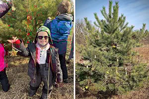 Deck the Trees_collage_300x200