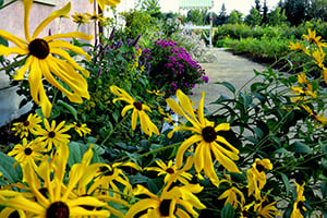 Explore Landscape Design for Your Backyard_300x200