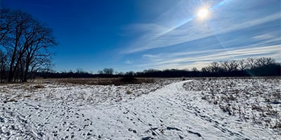 February masthead_crop