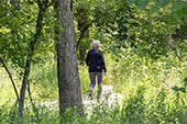 History Center Hike_170x113px