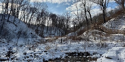 January masthead_crop