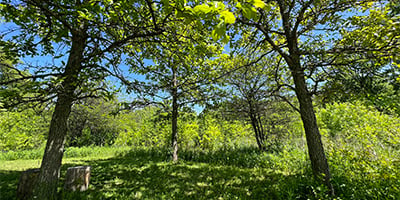 June masthead_IMG_5245