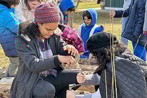 Maple Madness_300x200