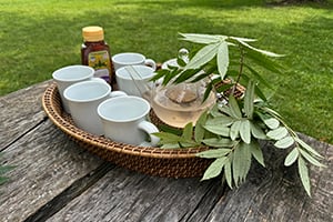 Natures Teatime_300x200