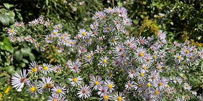 October_masthead_crop