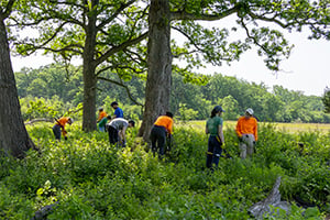 PSCC Grant_06.11.25_westfork_300x200px