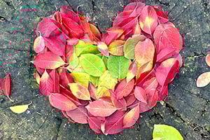 Schools Out I Love Wildlife