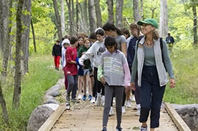 Schools Out Turkey Tales_300x200