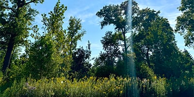 Sept masthead_crop