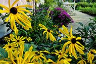 Spring Symposium_190x127
