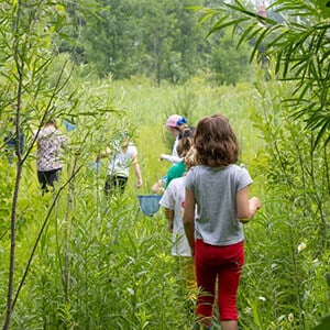 Summer Camp_300x300px