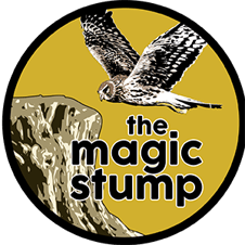 The Magic Stump_300x300