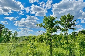 crop_300x200_Head in the Clouds Adventure